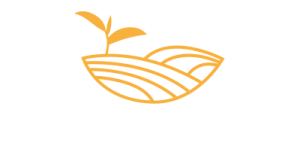 logo chammikatea